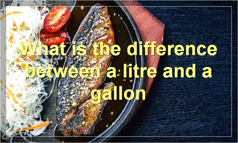 What is the difference between a litre and a gallon