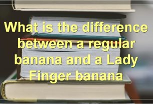 What is the difference between a regular banana and a Lady Finger banana