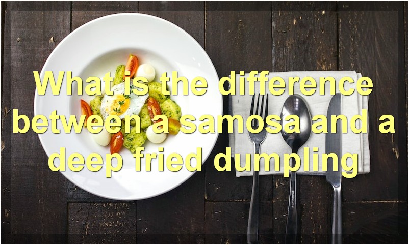 What is the difference between a samosa and a deep fried dumpling