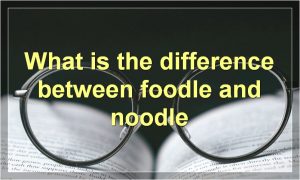 What is the difference between foodle and noodle
