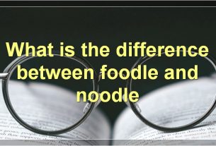 What is the difference between foodle and noodle