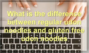 What is the difference between regular udon noodles and gluten free udon noodles