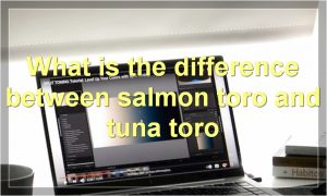 What is the difference between salmon toro and tuna toro