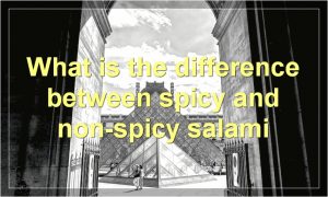 What is the difference between spicy and non-spicy salami