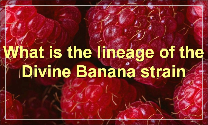 What is the lineage of the Divine Banana strain