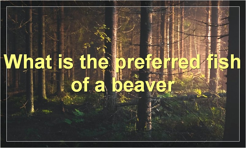 What is the preferred fish of a beaver