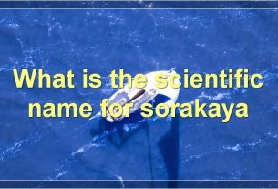What is the scientific name for sorakaya