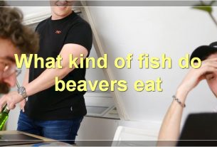 What kind of fish do beavers eat