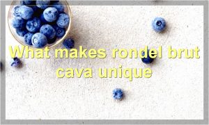 What makes rondel brut cava unique