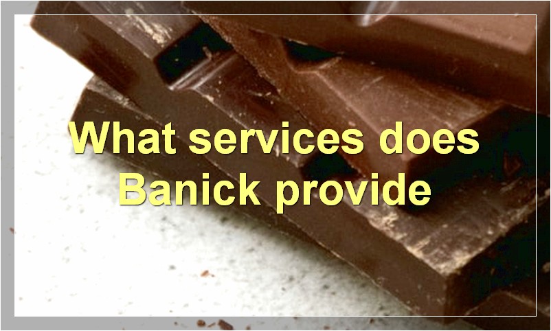 What services does Banick provide