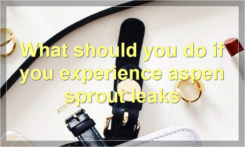 What should you do if you experience aspen sprout leaks