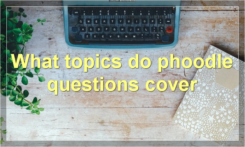 What topics do phoodle questions cover