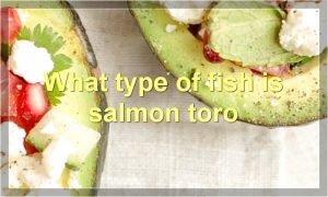 What type of fish is salmon toro