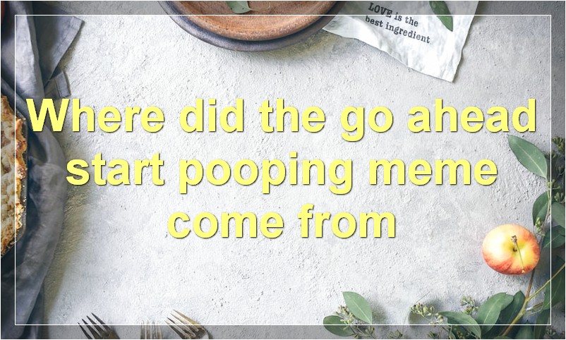 Where did the go ahead start pooping meme come from