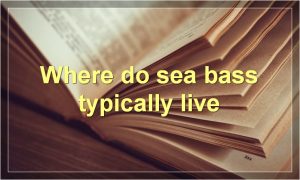 Where do sea bass typically live