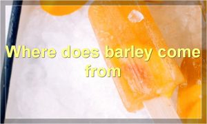 Where does barley come from