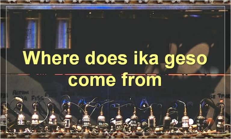 Everything You Need To Know About Ika Geso | Food Readme