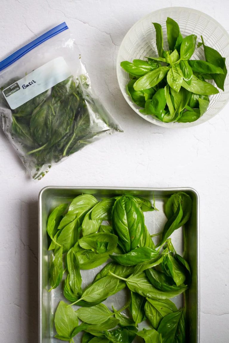 Can You Freeze Basil? Best Methods and Tips Food Readme