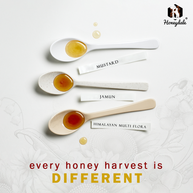 Honey Spoons Uncovering the Sweet Secrets of Nature Food Readme