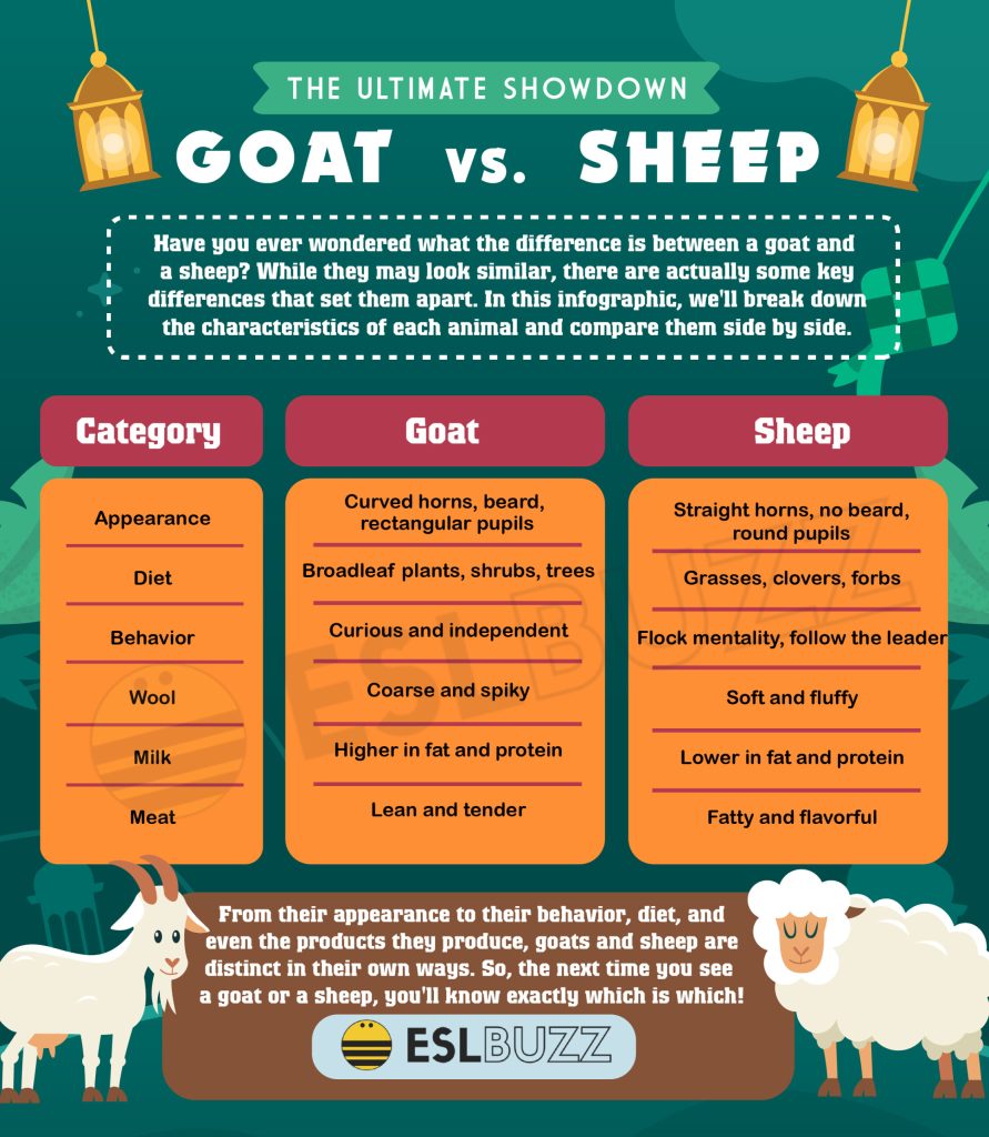 Lamb vs Sheep vs Goat Understanding Their Unique Characteristics Food Readme